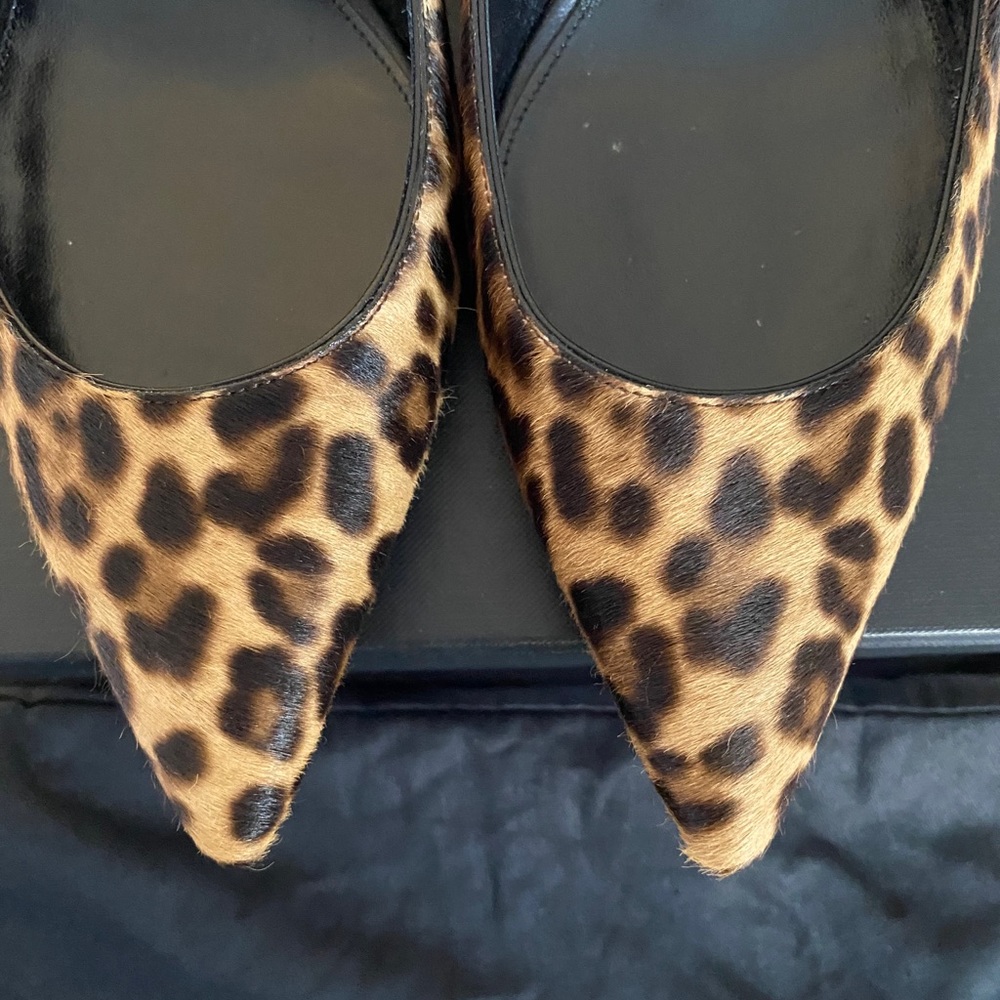 ‼️SOLD‼️NEW Saint Laurent Heels Kitten Heel Leopar - Picture 7 of 12